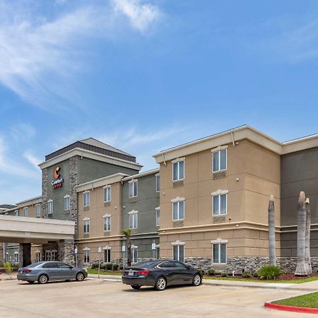 Comfort Suites Near Texas A&M - Corpus Christi Ngoại thất bức ảnh