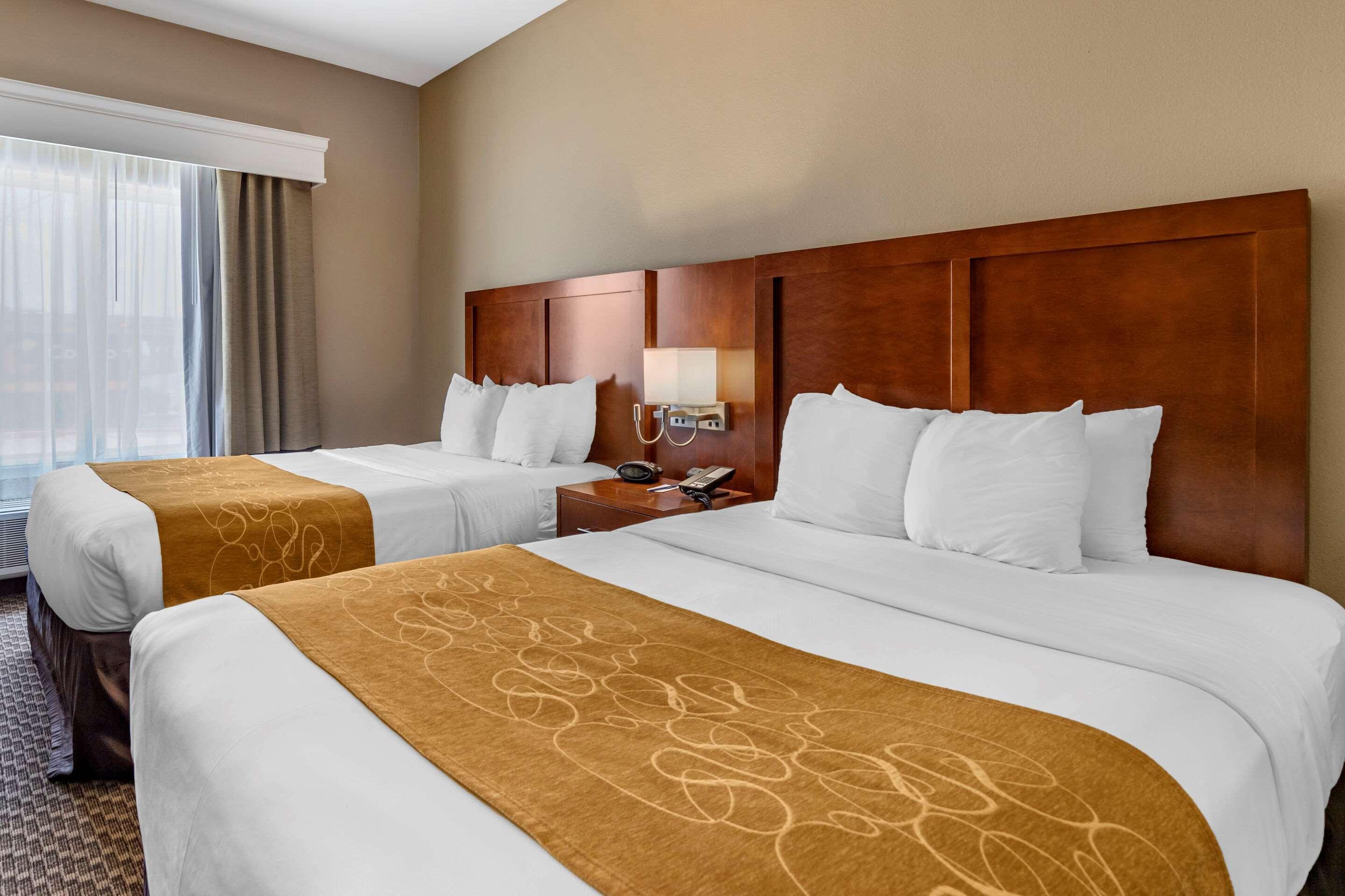 Comfort Suites Near Texas A&M - Corpus Christi Ngoại thất bức ảnh